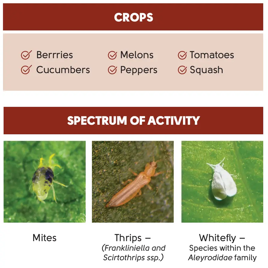 Infographic highlighting the target crops and pests for Bronte Insecticide/Nematicide.