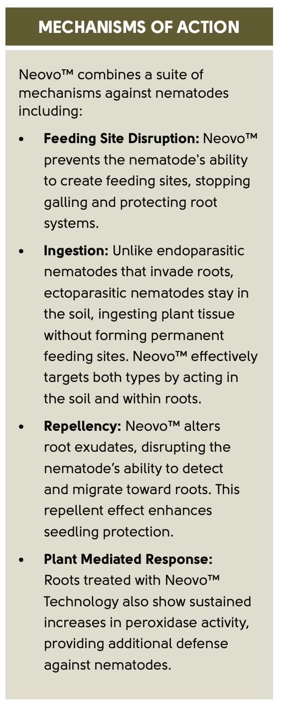 Infographic explaining the different mechanisms of action for Neovo.