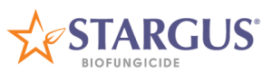 Stargus Logo