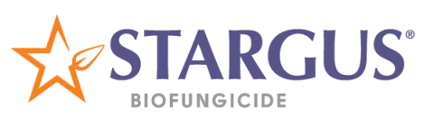 Stargus Logo