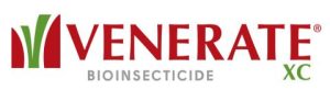 Venerate Logo