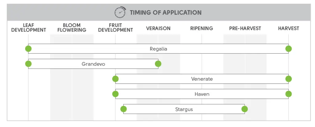 grape_pests_spray_timing-1