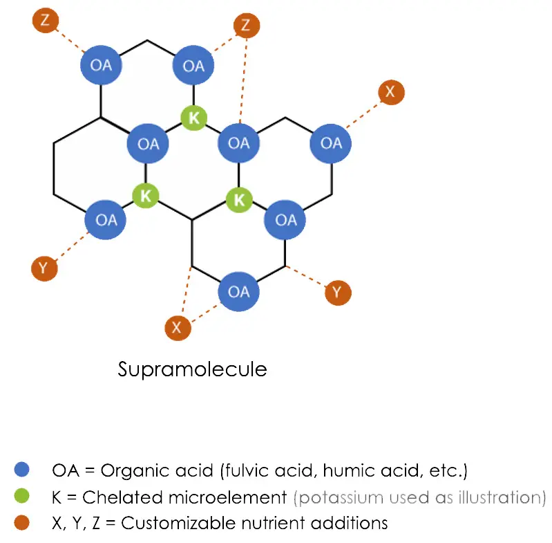 Diagram of the UBP Technology supramolecule