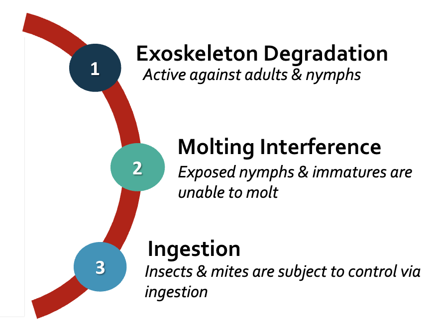 Infographic detailing the three modes of action for Venerate.